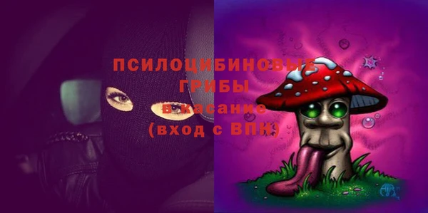 твердый Алзамай