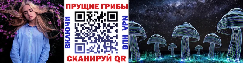 купить  цена  Белозерск  KRAKEN ССЫЛКА  Галлюциногенные грибы Cubensis 